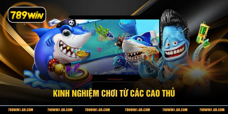 Kinh nghiệm chơi từ các cao thủ